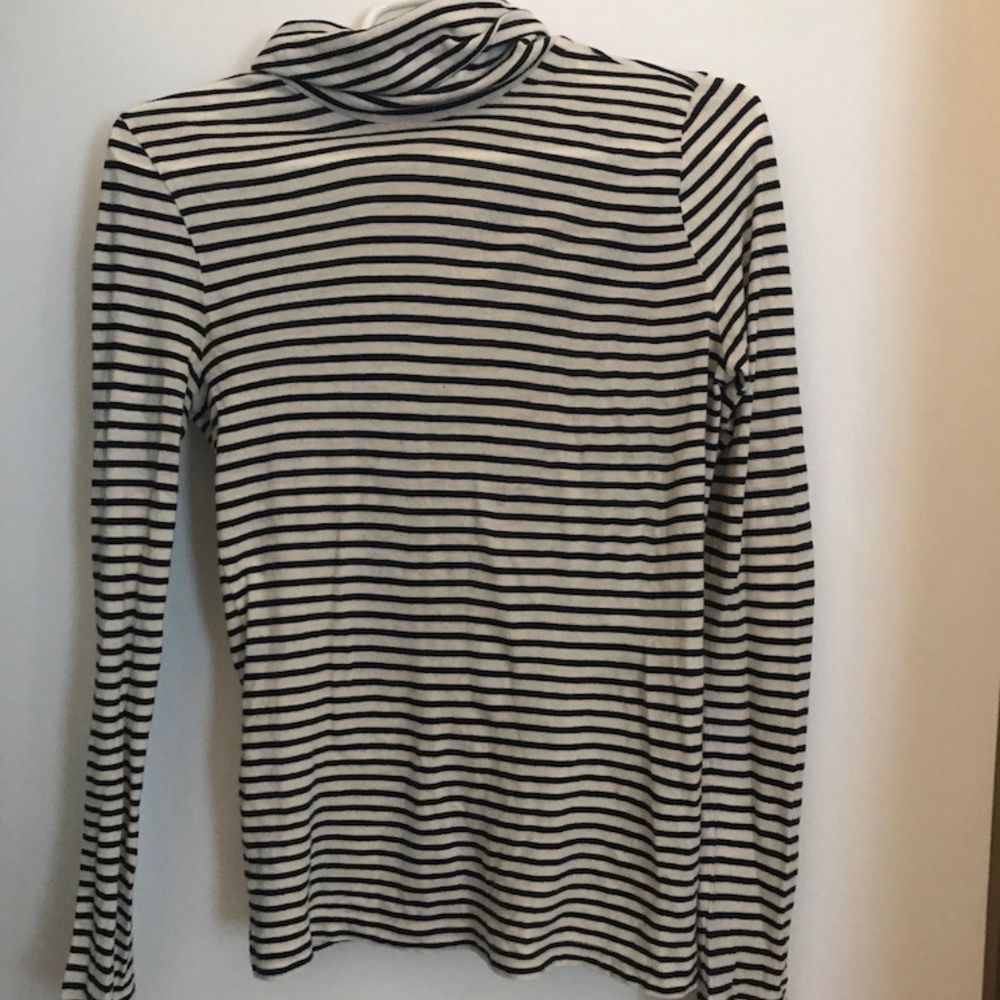 J Crew Tissue Turtleneck Striped T-shirt